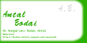 antal bodai business card